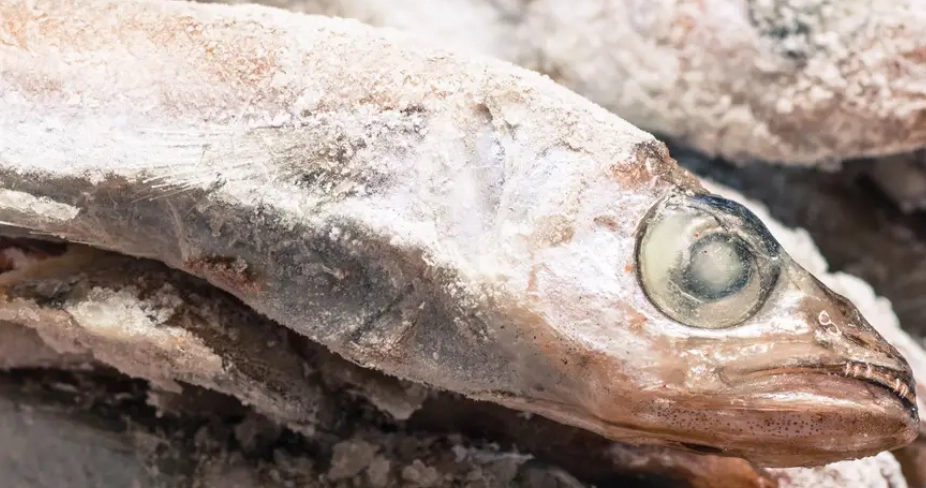 冷凍魚退冰 冷凍魚退冰