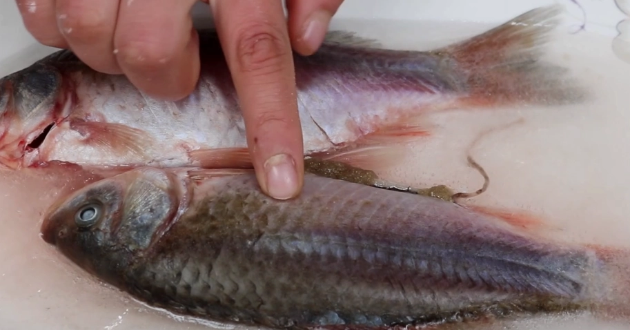 魚退冰方法 魚退冰方法