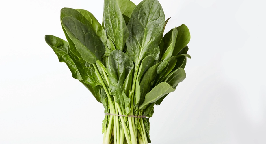 大腿減肥食譜 大腿減肥食譜