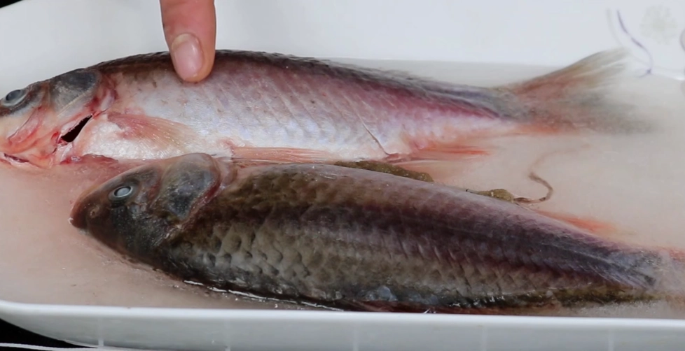 快速解凍魚方法 快速解凍魚方法