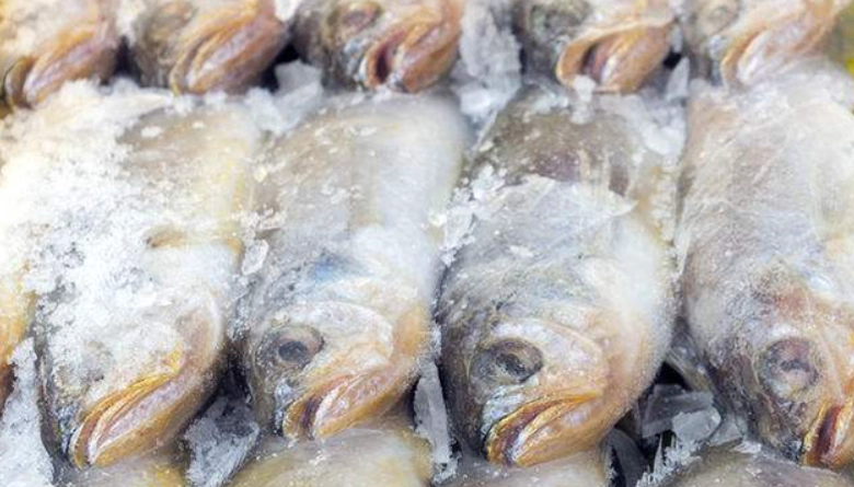 冷凍魚退冰技巧 冷凍魚退冰技巧