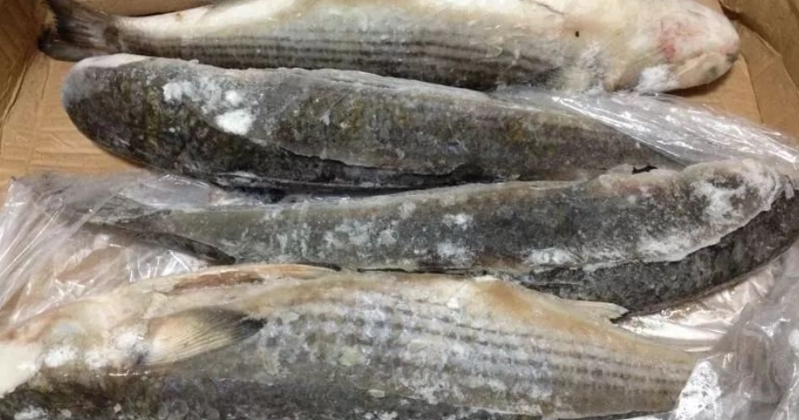 魚肉解凍方法 魚肉解凍方法