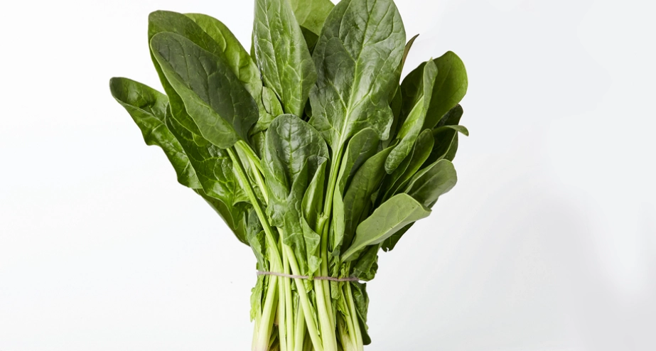 腿部減肥 腿部減肥