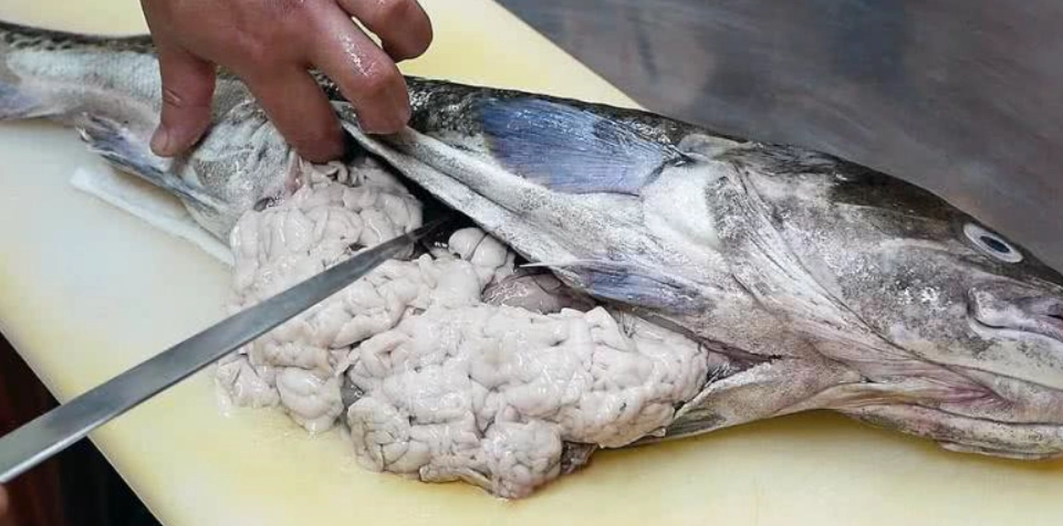 台灣鱈魚白子餐廳 台灣鱈魚白子餐廳