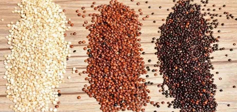 藜麥 營養價值 藜麥 營養價值