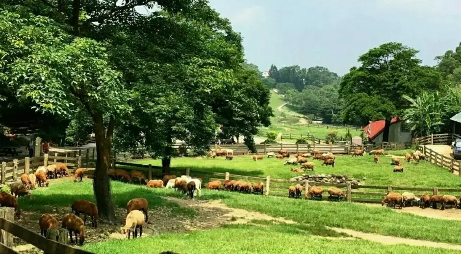 苗栗必去景點 苗栗必去景點
