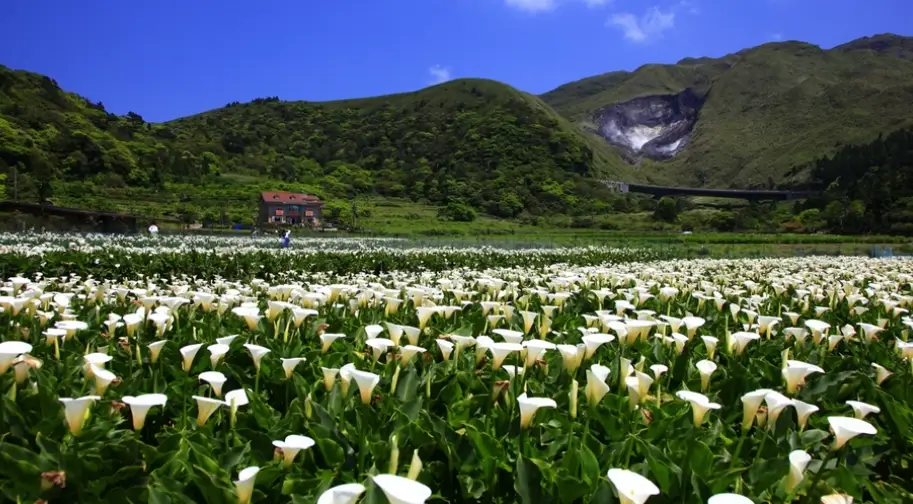 台灣爬山路線 台灣爬山路線