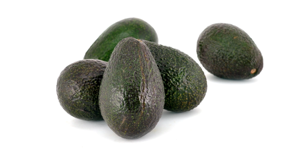 蒸酪梨食譜 蒸酪梨食譜