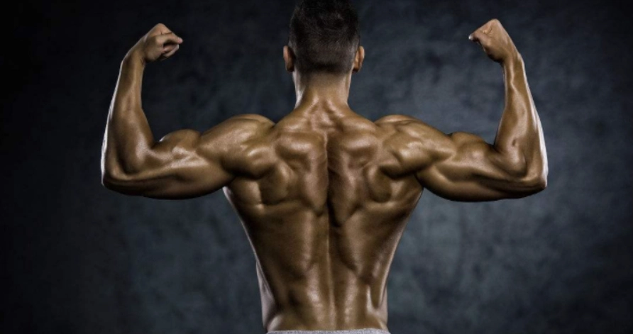 闊背肌緊繃原因全解析：5大關鍵因素與自救指南