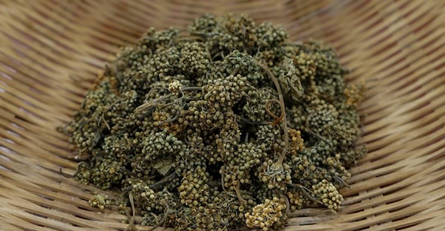 人參花禁忌全解析：副作用、適用人群與注意事項