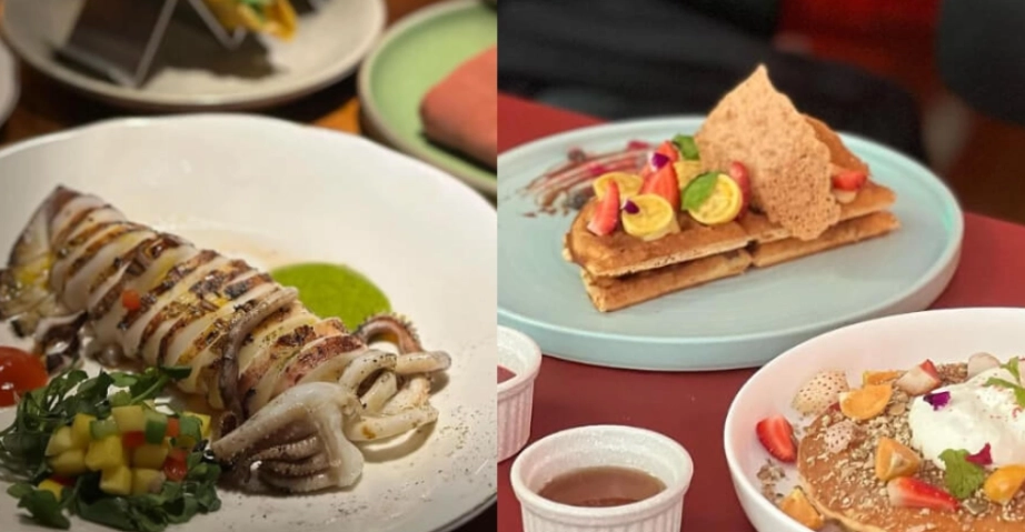 米其林指南 米其林指南