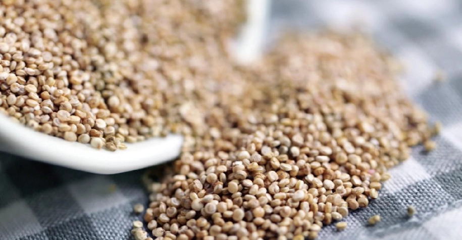 藜麥 是穀類嗎 藜麥 是穀類嗎