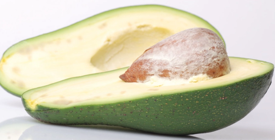 酪梨減肥 酪梨減肥