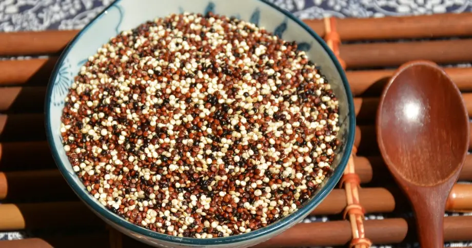 藜麥是穀類嗎？營養師解析藜麥分類、營養與常見迷思