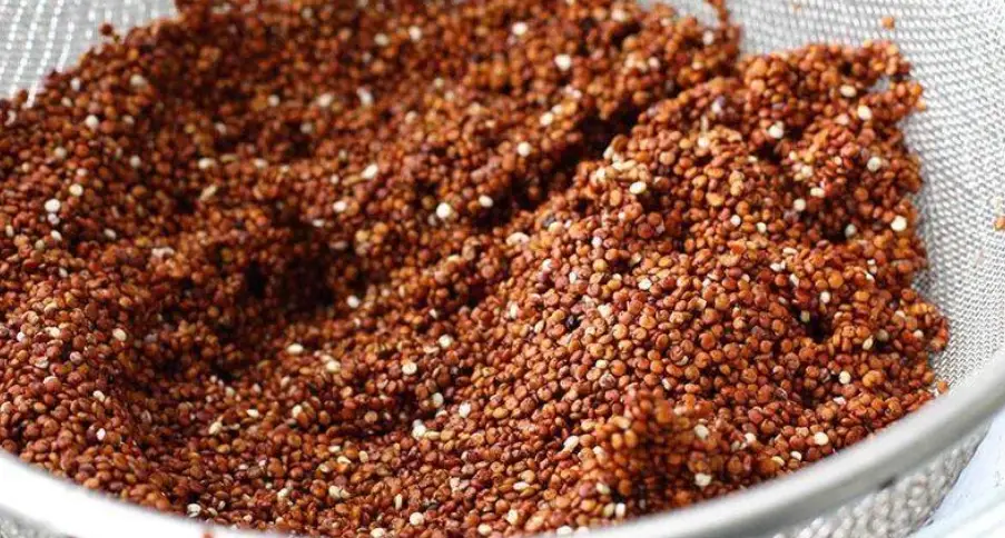 藜麥 分類 藜麥 分類