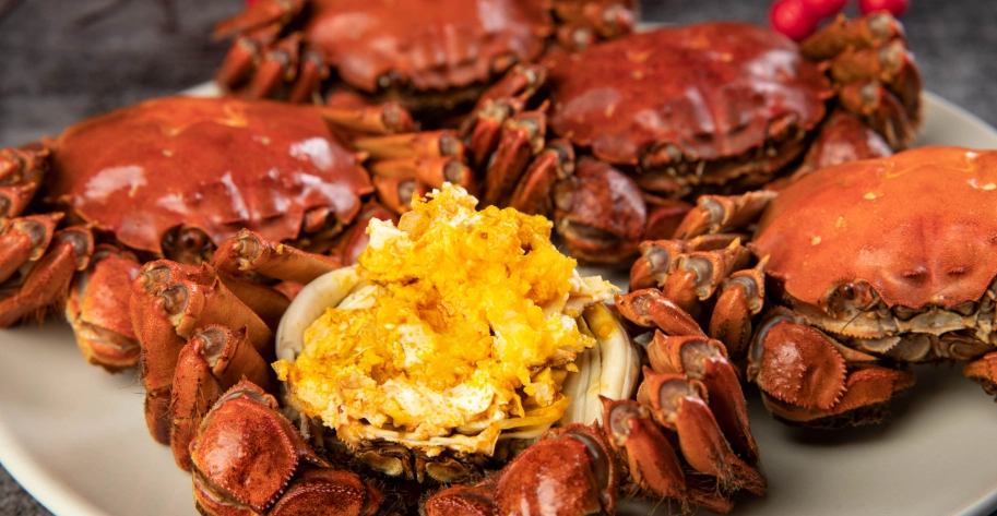 和歌山蟹放題終極指南：餐廳推薦、省錢技巧與行程規劃