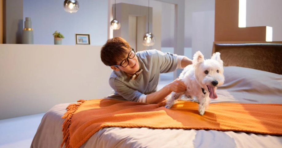 寵物友善小木屋