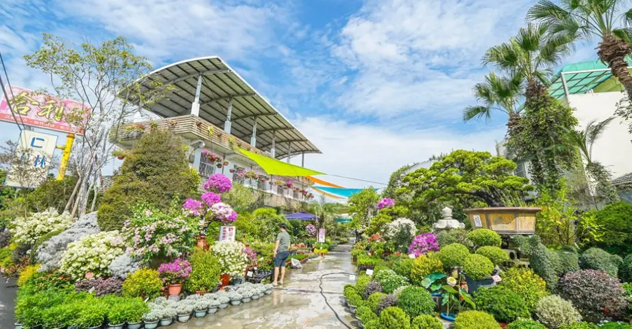 探索彰化私房景點：在地人私藏的隱藏去處與實用指南