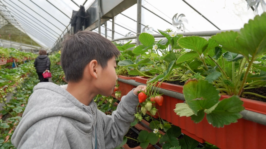 苗栗旅遊景點 苗栗旅遊景點