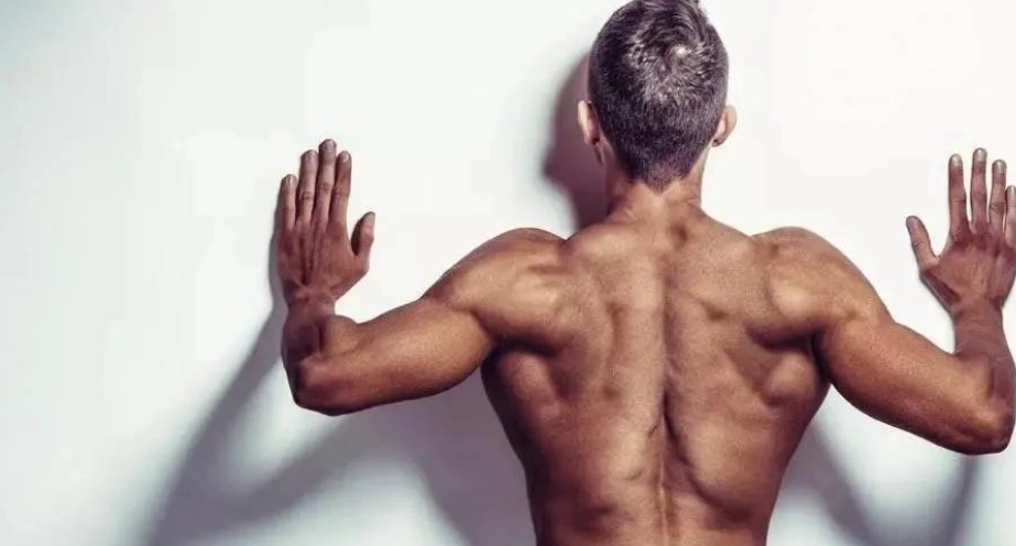 練背組數完整攻略：高效安排訓練計畫的關鍵秘訣