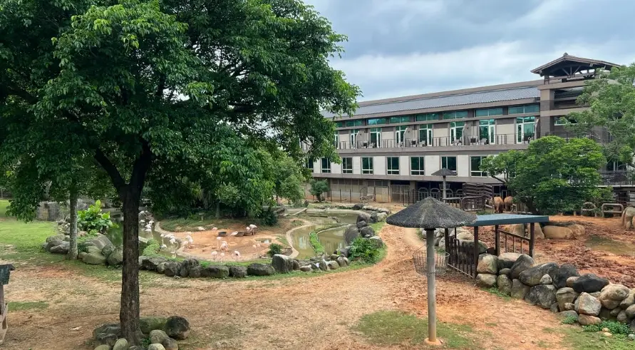 草原活動體驗 草原活動體驗