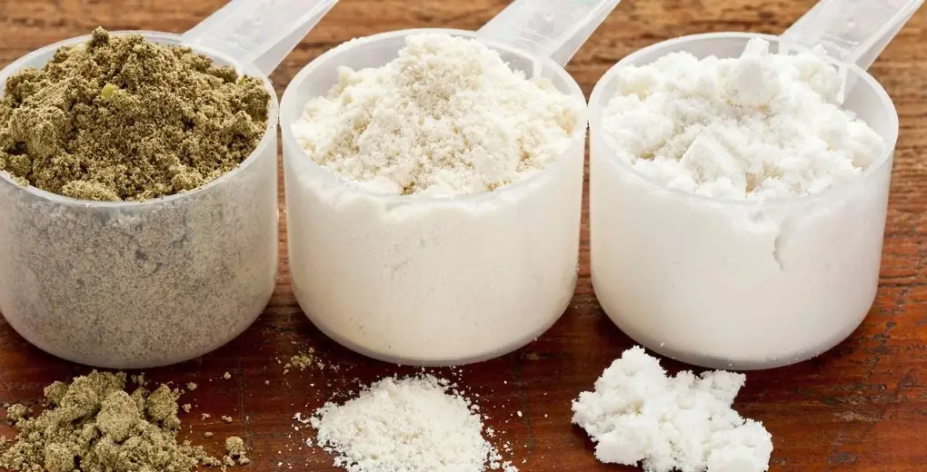 高蛋白補充品 高蛋白補充品