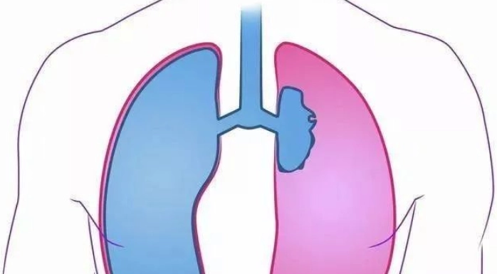 腹式呼吸法完整指南：原理、步驟、好處與常見錯誤解析