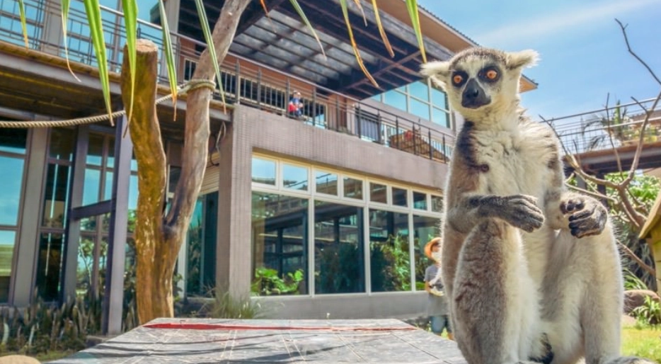 草原活動體驗 草原活動體驗