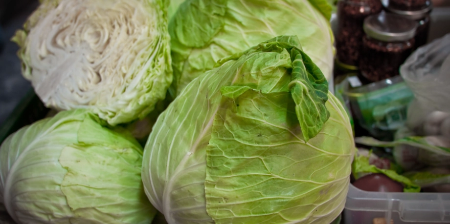 洗過的高麗菜保存 洗過的高麗菜保存