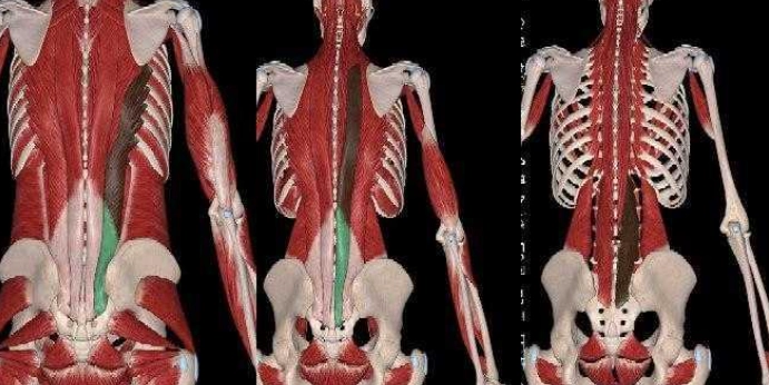 運動傷害復健 運動傷害復健