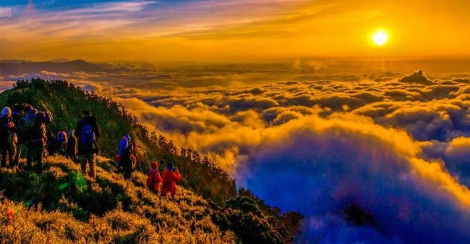 合歡山南峰 攻略