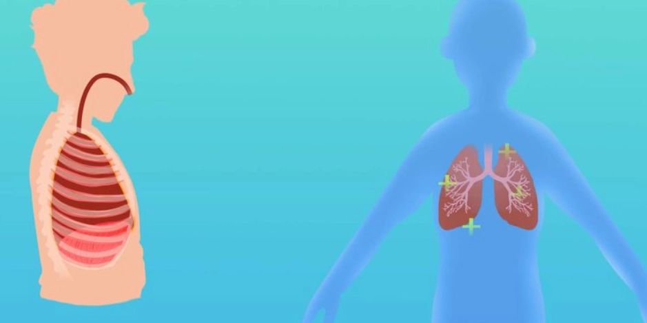 掌握腹式呼吸原理：從科學到實踐的完整指南