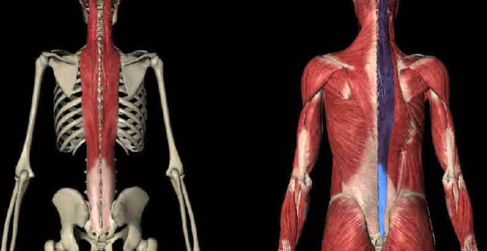 運動傷害復健 運動傷害復健