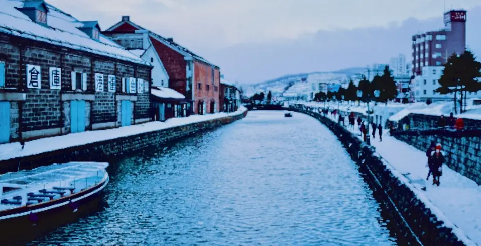 北海道七日遊行程規劃全攻略：札幌小樽富良野完美路線