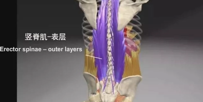 運動傷害復健 運動傷害復健