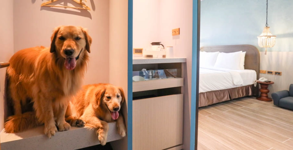 寵物友善民宿雲林