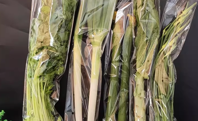 保鮮袋推薦 保鮮袋推薦