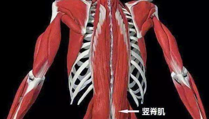 背部疼痛治療 背部疼痛治療