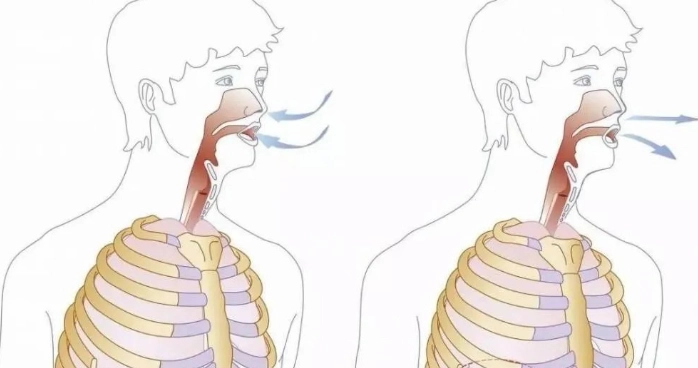 腹式呼吸 交感神經 腹式呼吸 交感神經