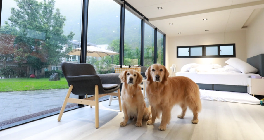 雲林寵物友善住宿推薦清單：帶毛孩旅行必收藏的5間優質旅宿