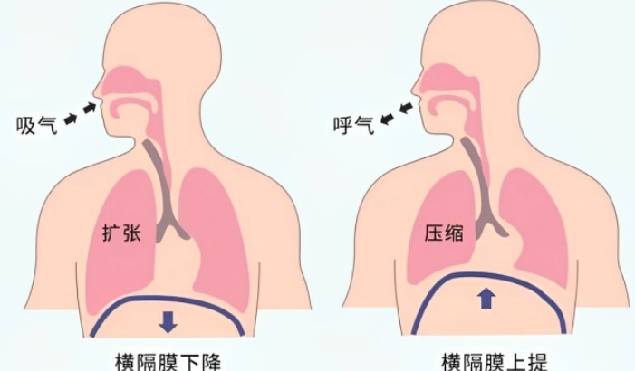 腹式呼吸緩解胃酸逆流 腹式呼吸緩解胃酸逆流