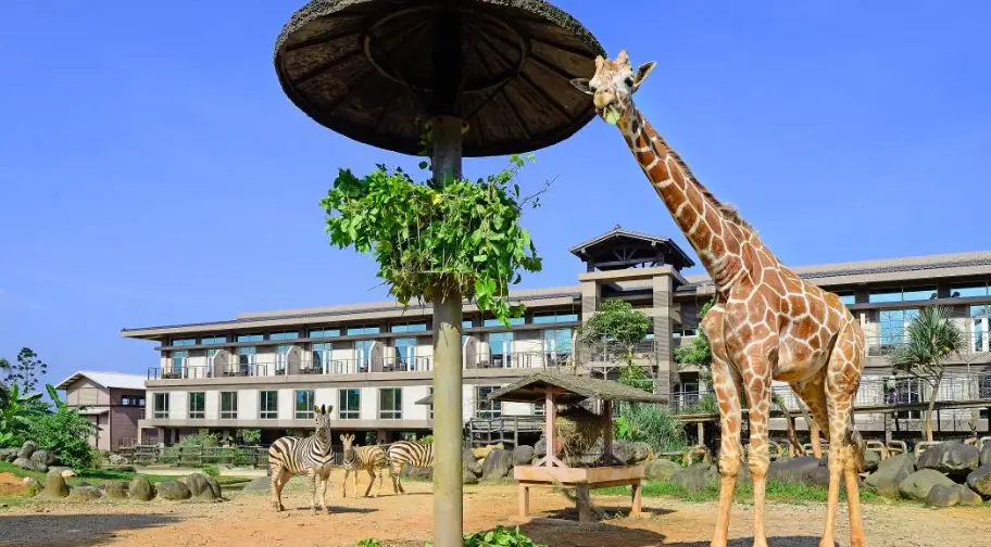 草原活動體驗 草原活動體驗