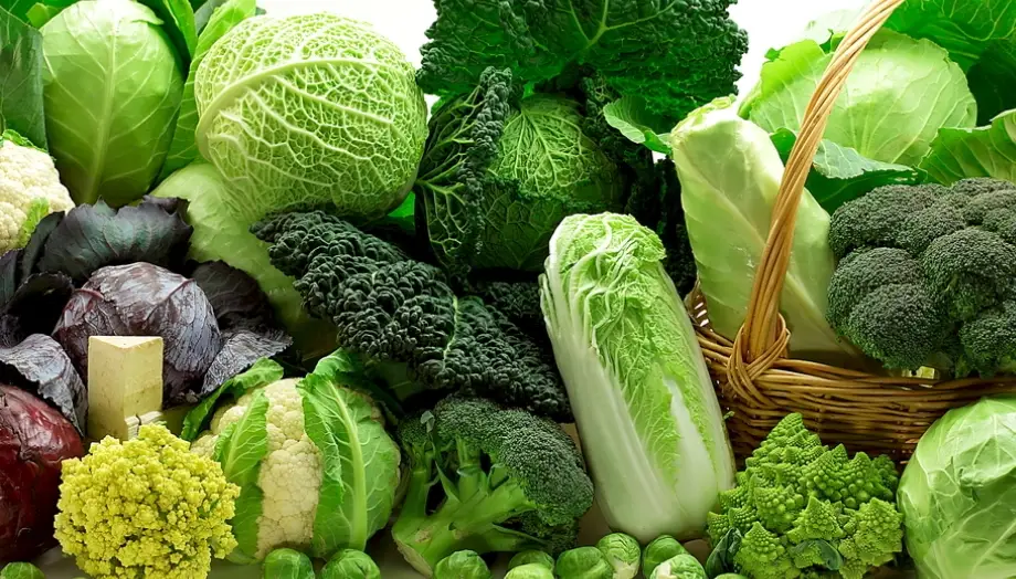 蔬菜保存終極指南：正確方法延長保鮮期，減少食物浪費