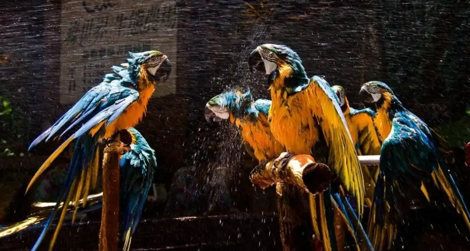 新竹親子農場全攻略：門票、交通、體驗與行程規劃一次看