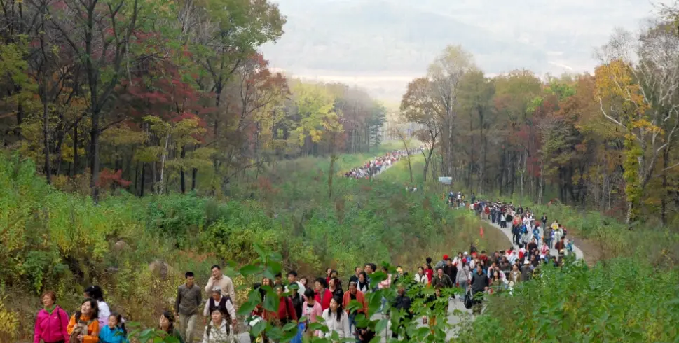 台灣登山路線全攻略：從新手入門到高手挑戰的步道選擇與安全指南