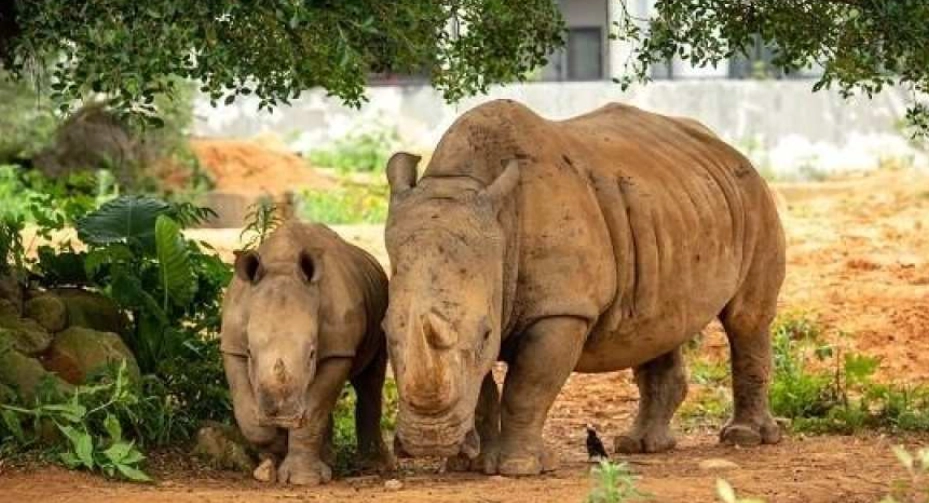 六福莊草原盛會全攻略：門票、交通、住宿與活動深度解析