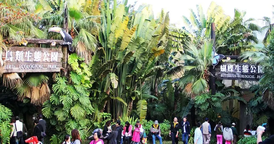 新竹農場推薦 新竹農場推薦