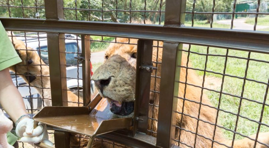 六福莊生態旅遊 六福莊生態旅遊