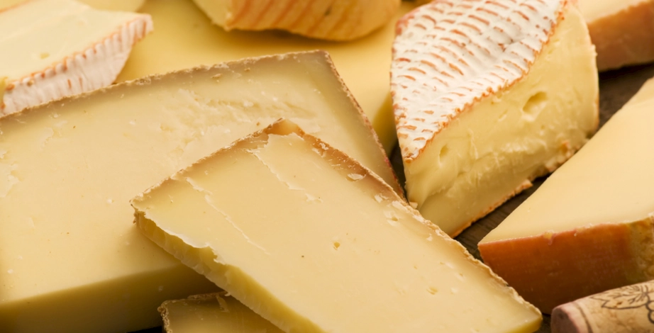 乳酪保存方法 乳酪保存方法