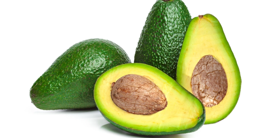 酪梨 每日 攝取量